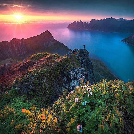 دانلود آهنگ ساده دل علی ساروی